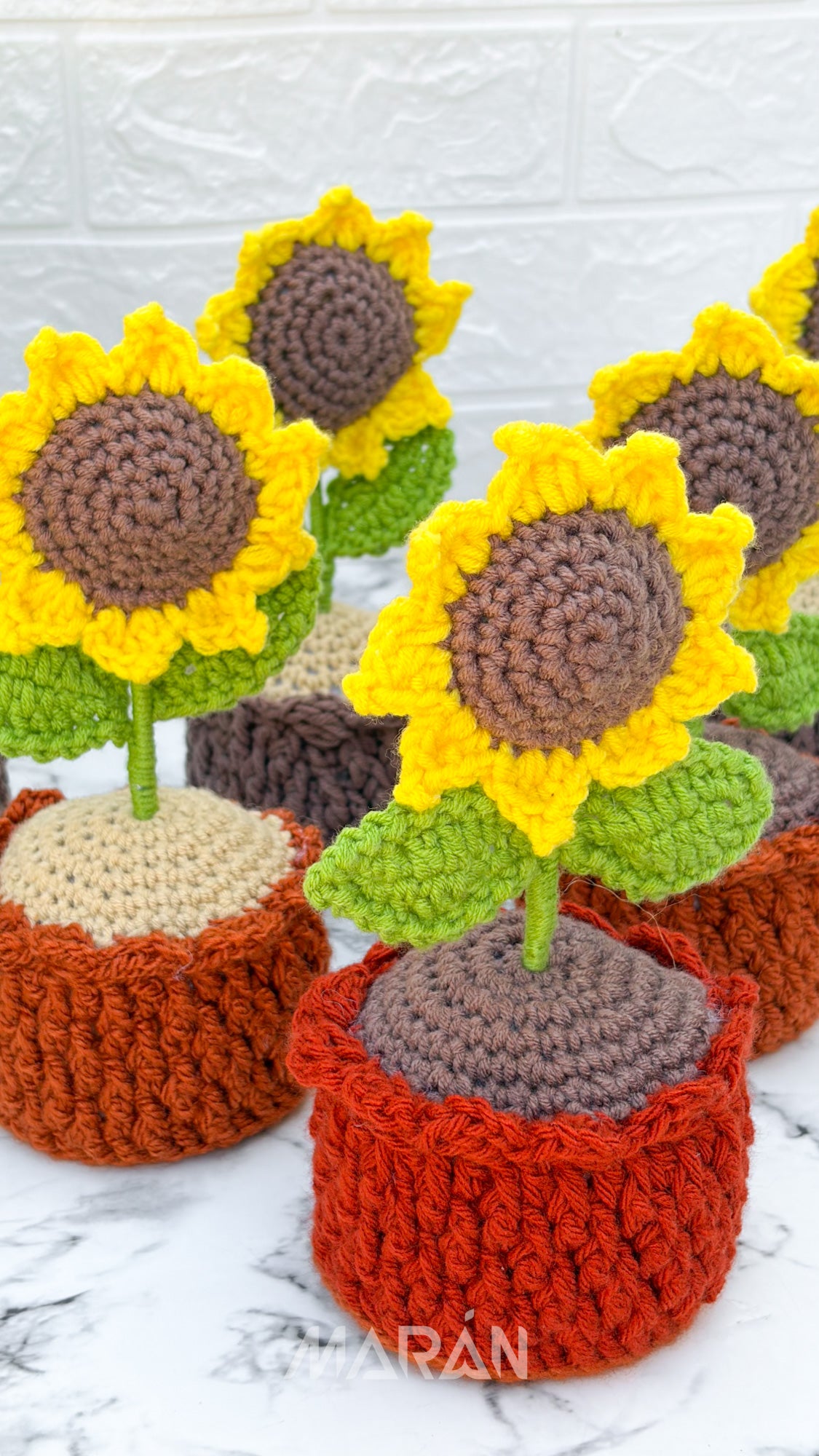 Flores en Macetas