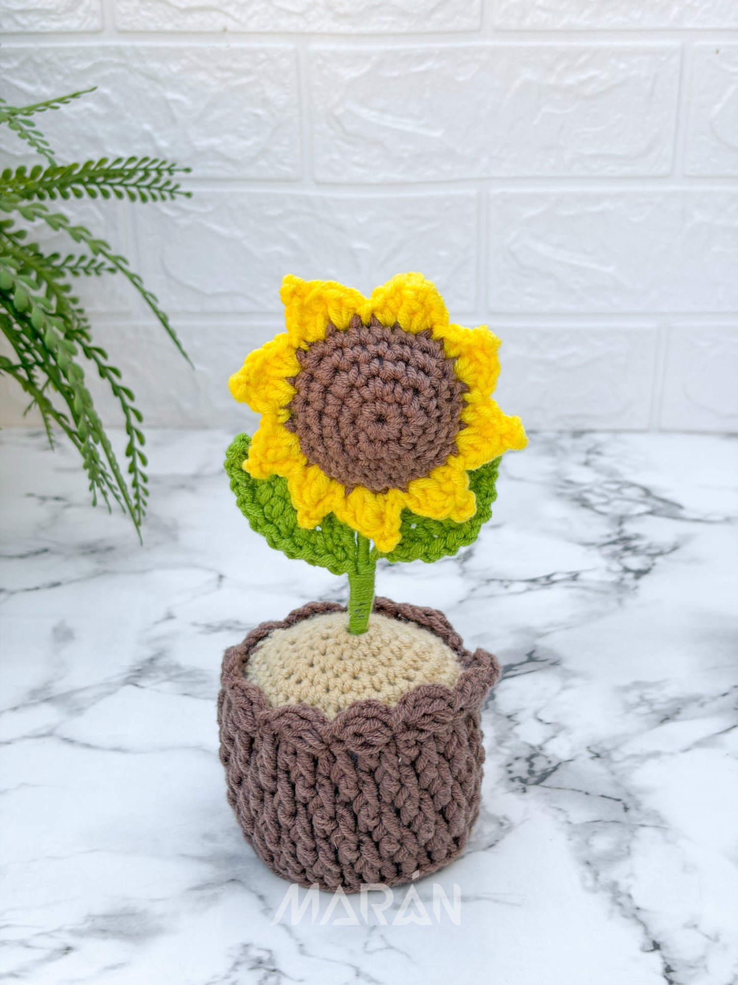 Girasol maceta