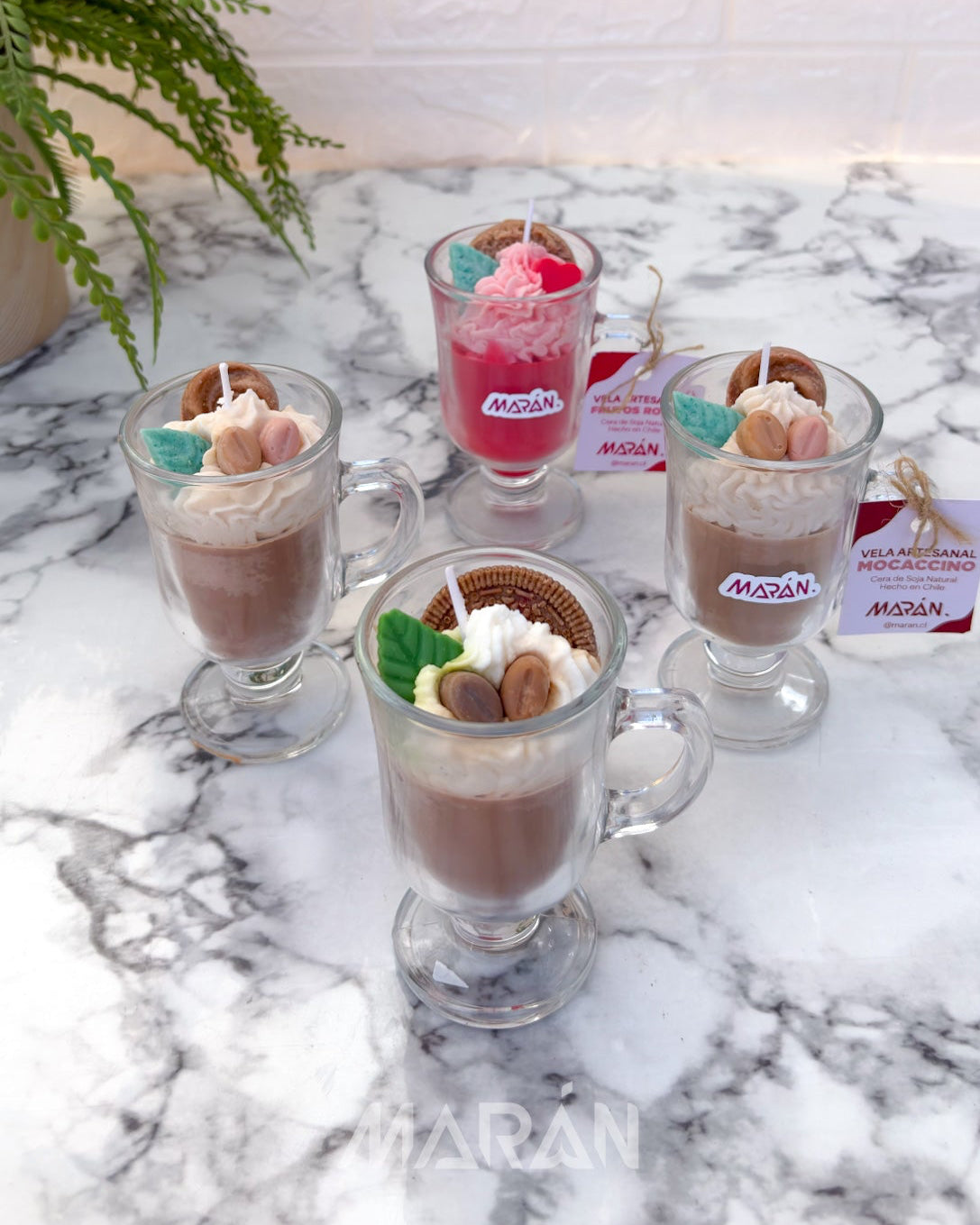 Vela Capuchino Pequeño