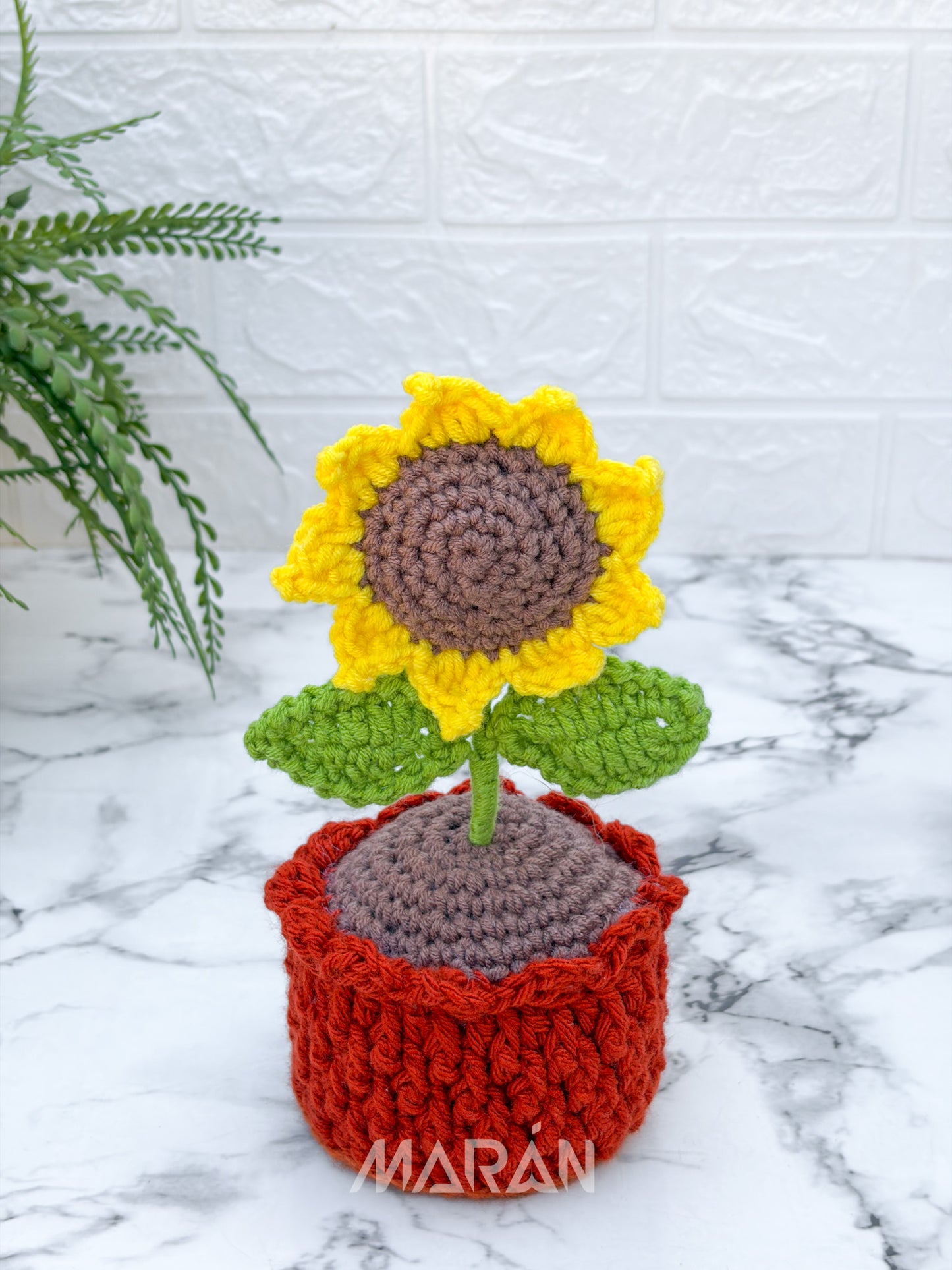 Girasol maceta