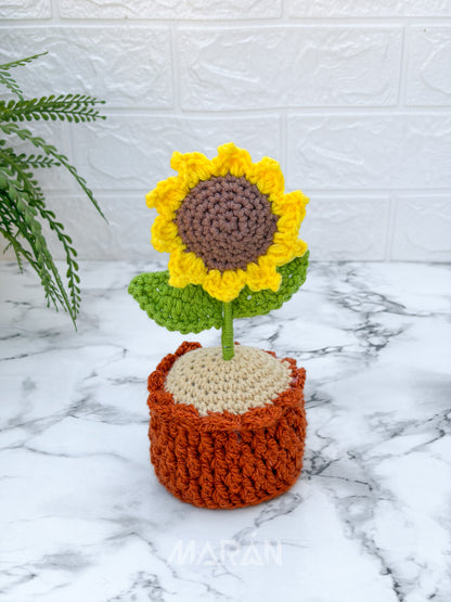 Girasol maceta
